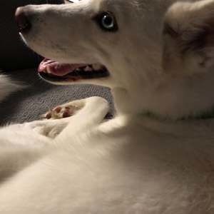 Meet your Posher, J.c.